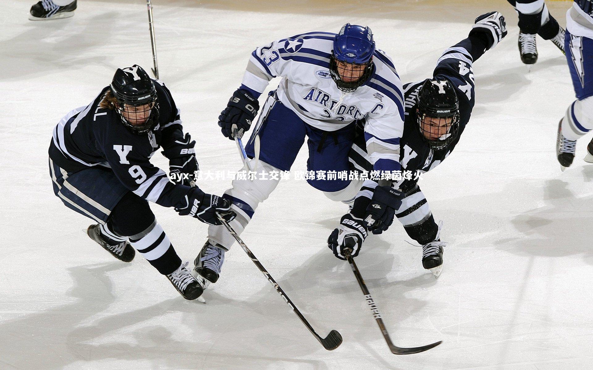 意大利与威尔士交锋 欧锦赛前哨战点燃绿茵烽火