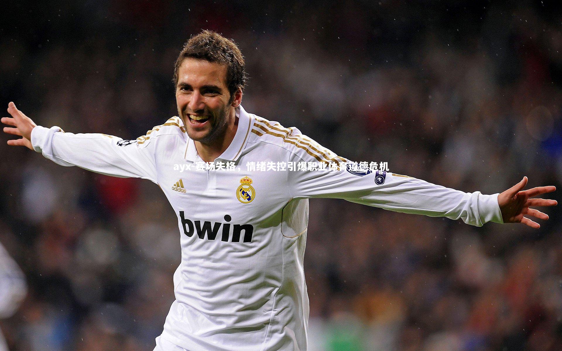 赛场失格,情绪失控引爆职业体育道德危机